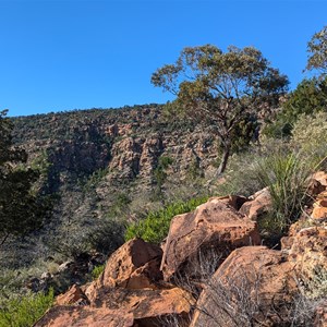 Mount Gundabooka walk picnic area