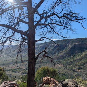 Mount Gundabooka walk picnic area