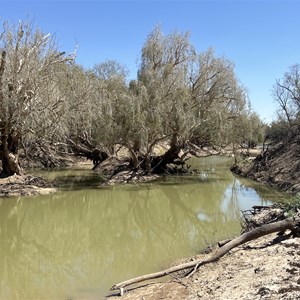Georgina River Bush Camp