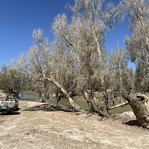 Georgina River Bush Camp