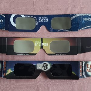 Essential safety sunnies