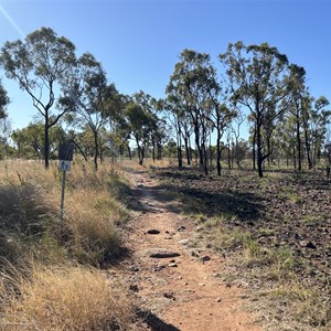 Rim Walk