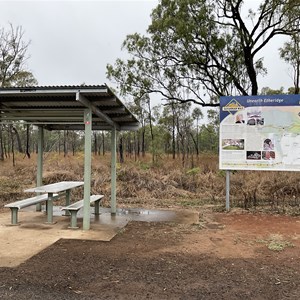 Toilets