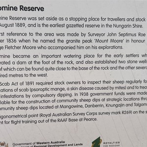 Mount Moore Camping