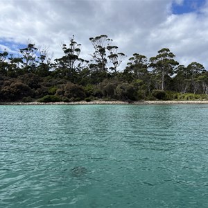 Shoal Bay