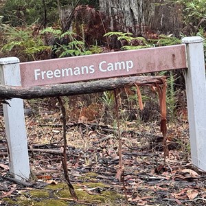 Freemans