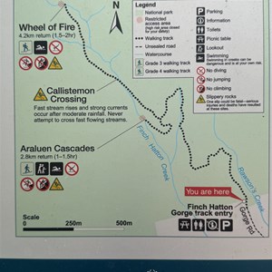 Finch Hatton Gorge