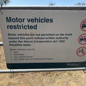 Walk Trail to Mt Britton