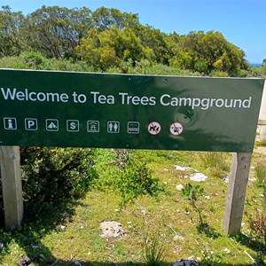 Tea Trees campground