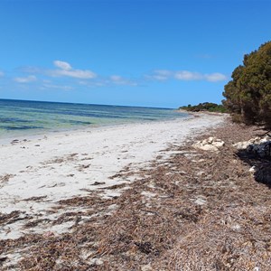 Tea Trees campground