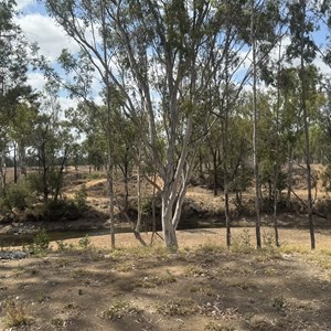 Theresa Creek (West) Bush Camp