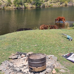 Boyd River Campsites
