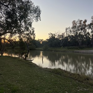 Collarenebri Free Camp