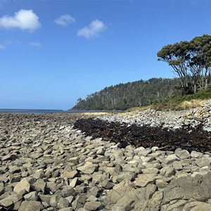 Fishers Point