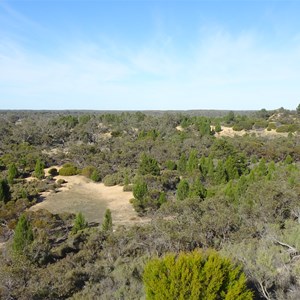 Mount Mattingley