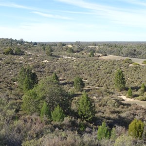 Mount Mattingley