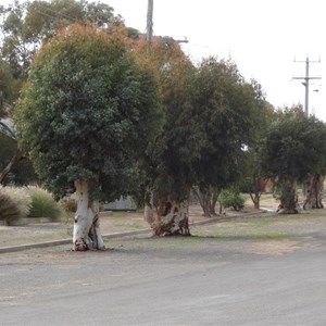 Main Street Nandaly