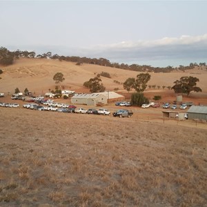 Ryelands
