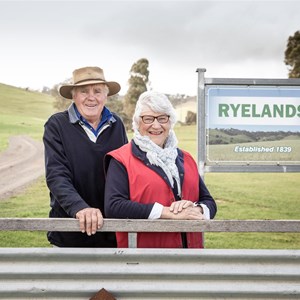 Ryelands
