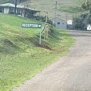 Ryelands