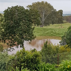 Ryelands Farmstay
