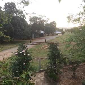 Ryelands