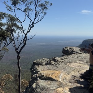 Lookout