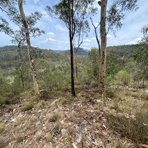 Gorge Lookout