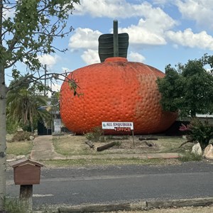 Big Mandarin Caravan Park