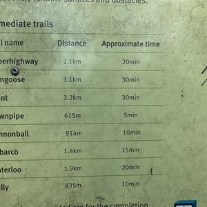 Wondai MTB Trails