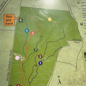 Wondai MTB Trails