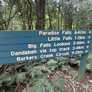 Paradise Trailhead