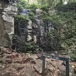 Paradise Falls