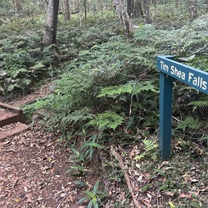 Tim Shea Falls