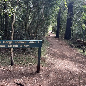Pine Gorge Lookout