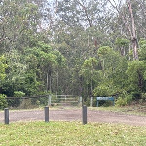 Walking Tracks Trailhead