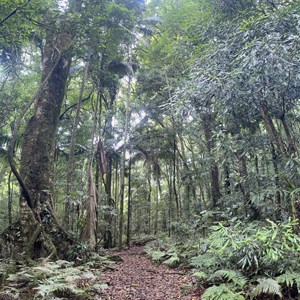 Sylvesters Lookout Trailhead