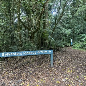 Sylvesters Lookout Trailhead