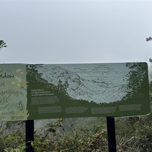 Sylvesters Lookout