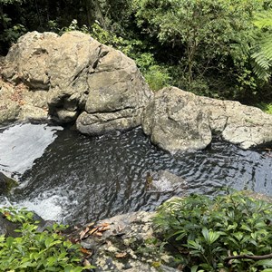Araucaria Falls