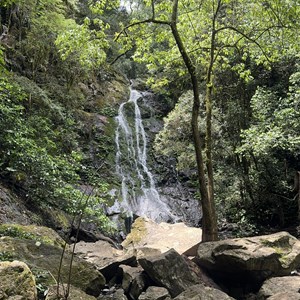 Araucaria Falls