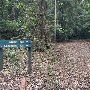 Cascades & Ridge Track Junction