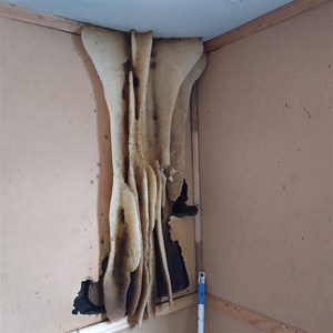 Yanipy Nature Reserve Campground