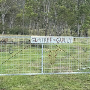 Gumtree Gully