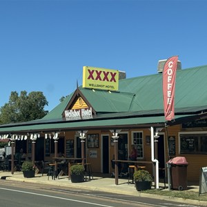 The Wellshot Hotel