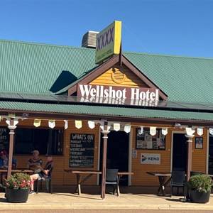 The Wellshot Hotel
