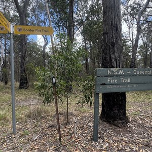 Border & Bookookoorara Trails Junction
