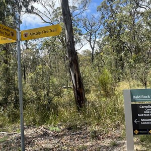 Carolls Creek & Airstrip Fire Trail Junction
