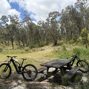 Carolls Creek
