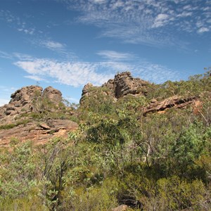 Trackside scenery